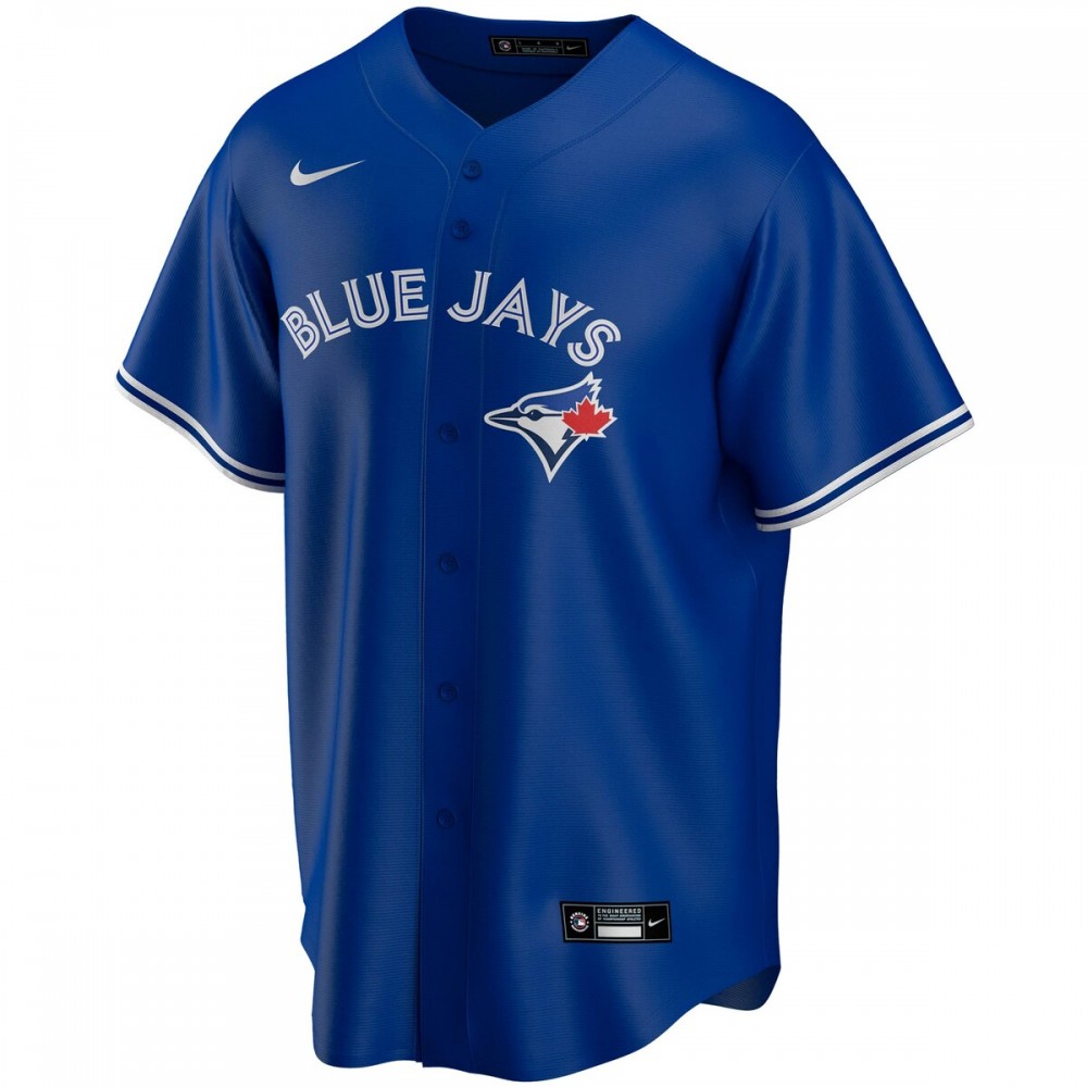 Vladimir Guerrero Jr. Toronto Blue Jays Nike Youth Alternate Replica Player Jersey - Royal - Image 2