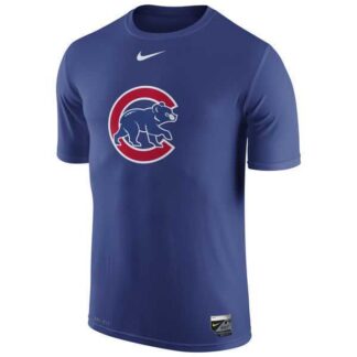 Chicago Cubs Nike Collection Legend Logo 1.5 Performance WEM T-Shirt - Royal Blue