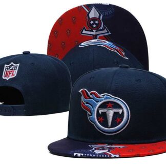 Tennessee Titans Team Logo Adjustable Hat GS (4)